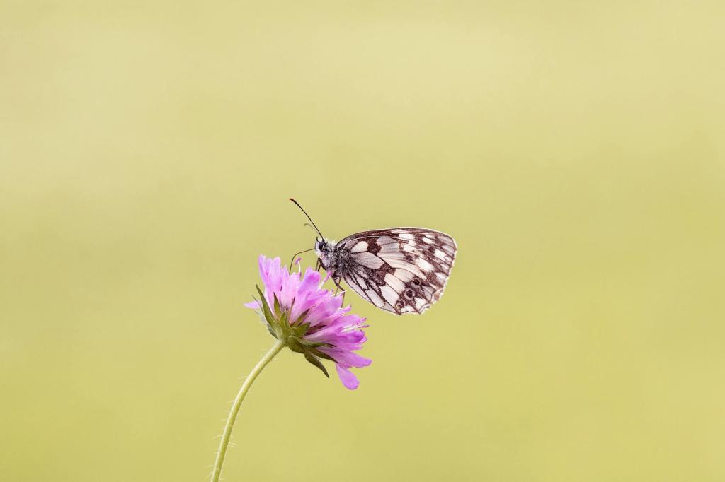 Why I Built This Site – and Why You’re Not&nbsp;Alone